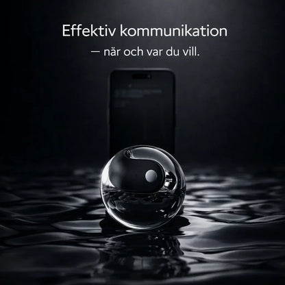 Lingora – Förstå varandra direkt, utan språkbarriärer