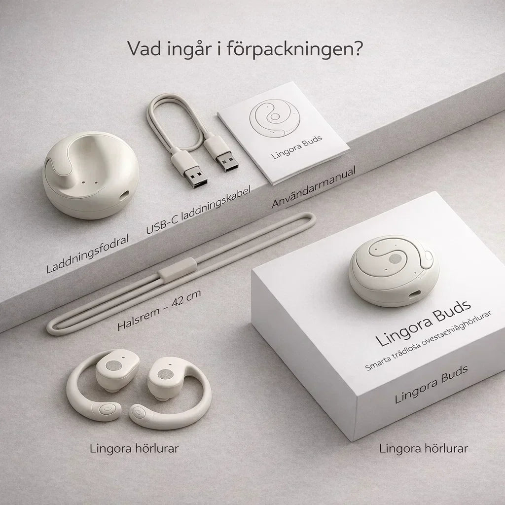 Lingora – Förstå varandra direkt, utan språkbarriärer
