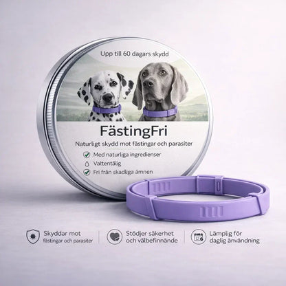 FästingFri – Skydd som håller din hund trygg utomhus