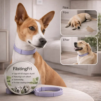 FästingFri – Skydd som håller din hund trygg utomhus