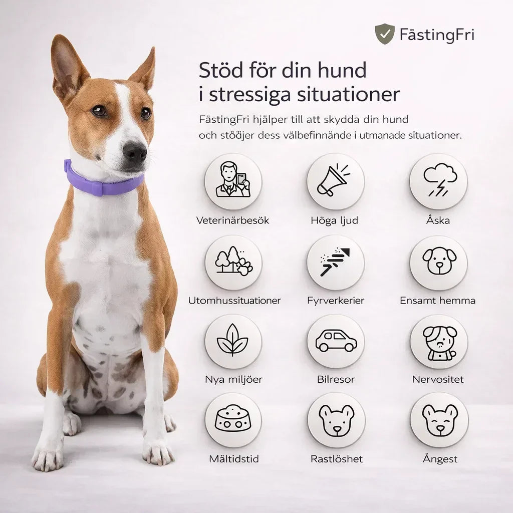 FästingFri – Skydd som håller din hund trygg utomhus