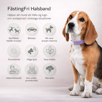 FästingFri – Skydd som håller din hund trygg utomhus